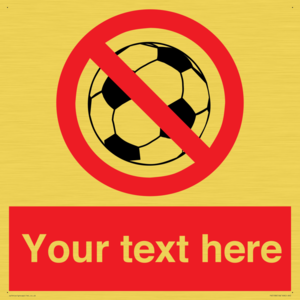 Custom No Ball Games Sign